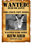 Wanted Poster Template 1 form